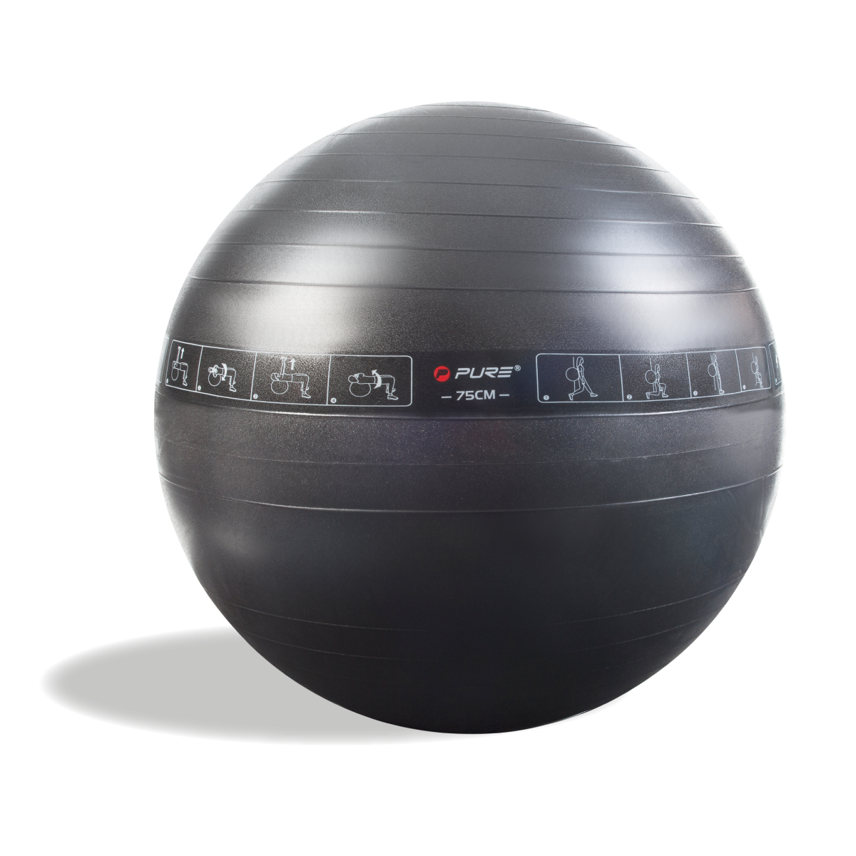 Gym Ball Picture PNG Transparent Background 1200x1200px Filesize