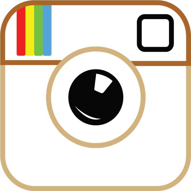 Logo Instagram Transparency PNG Transparent Background 800x800px