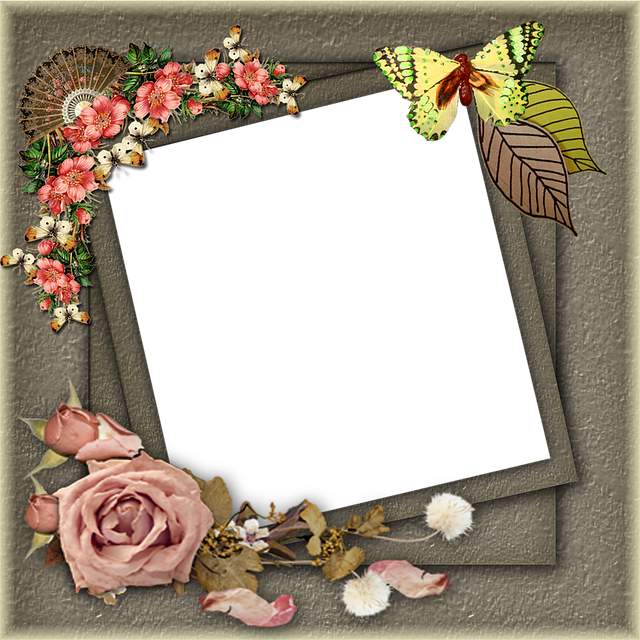 Ornate Hd Frame, Stylish Frame, Beautiful Frames PNG Transparent