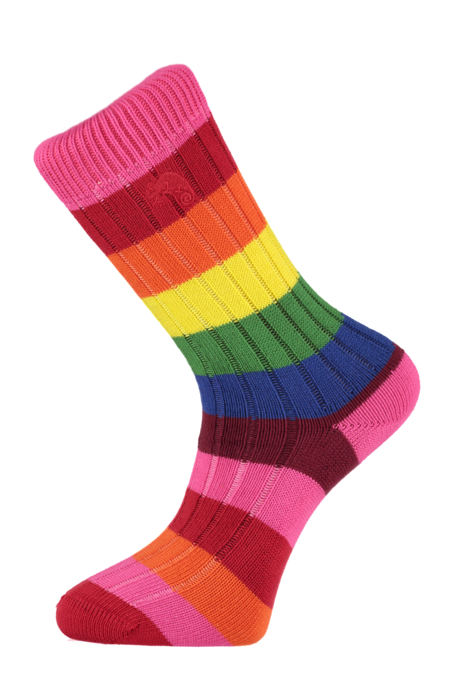 Color Socks Vector Image PNG Transparent Background 664x1000px ...