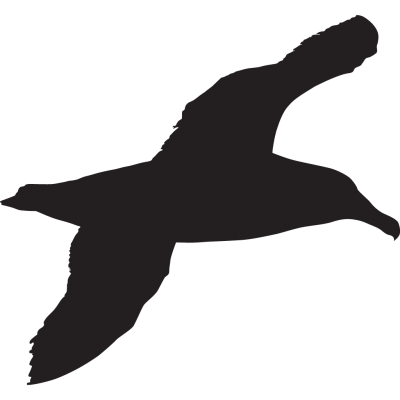 Albatross Black-transparent Image Clipart PNG Images