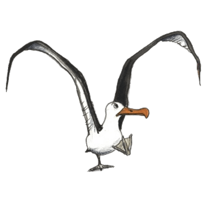 Albatross Png Free Clipart PNG Images