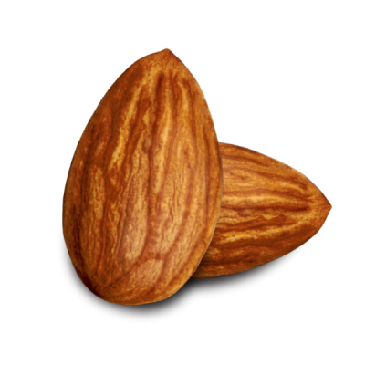 Almonds Two Transparent Png Image Download PNG Images