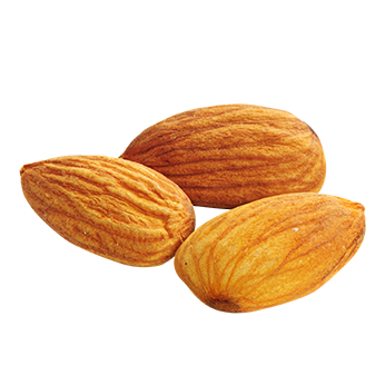 Three Almonds Together Hd Image Free Download PNG Images