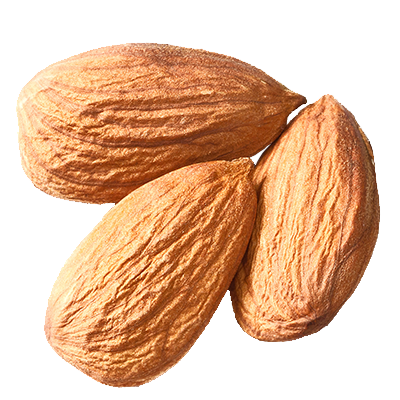 Png Image Free Image Hd Three Almonds PNG Images