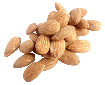 Almond Nuts Hd Transparent PNG Images PNG Images