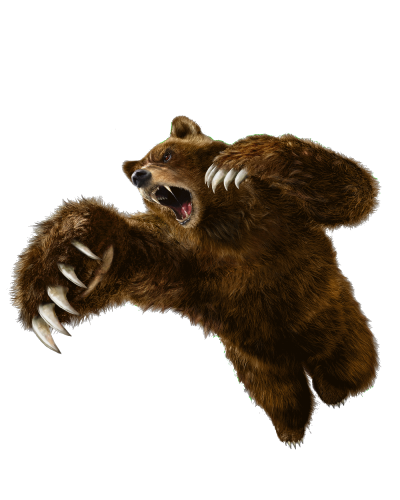 Attacking Big Animal Bear Clipart Photo PNG Images