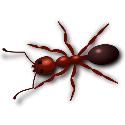 Red Ant Clipart Picture, Ant Types HD Image In Nature PNG Images