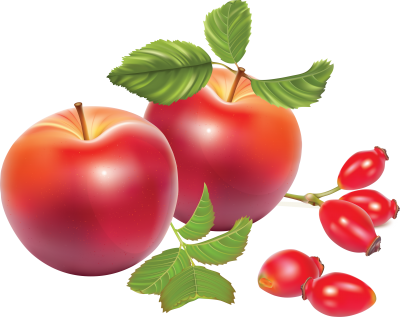 Binary Digital Apple Png Designs HD Image PNG Images