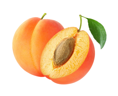 Original Turkish Malatya Apricots Picture PNG Images