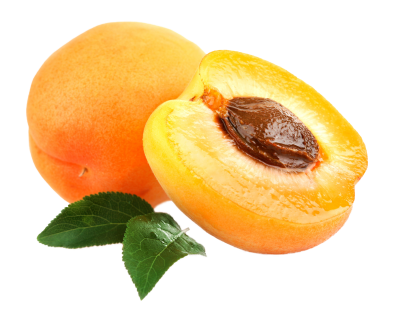  Unripe Almond, Apricot Image PNG Images
