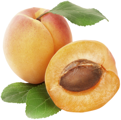 Leaf Transparent Image Photo Of Apricot, Apricot Kernel, Apricot Split PNG Images