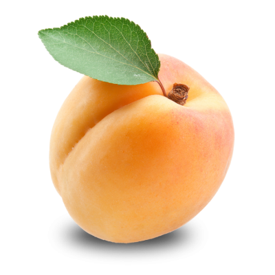Alone Apricot Leaf Image PNG Images