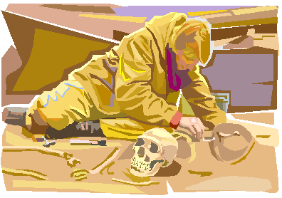 Investigation Clipart, Information, Observation, Photo PNG, Archaeologist PNG Images