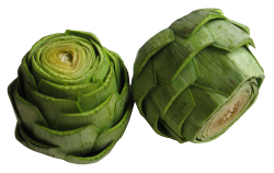 Artichokes Kohlrabi Purple Vienna Food Photos PNG Images