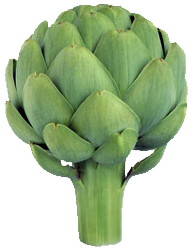 Artichokes Green Vegateble PNG Images