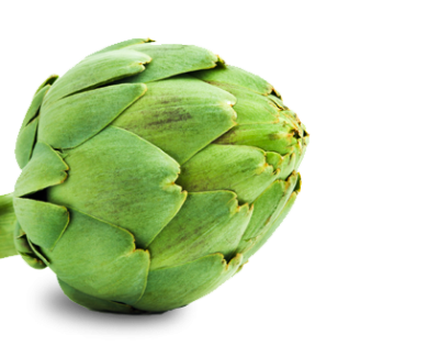 Artichokes Local Food Transparent PNG Images