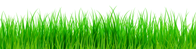 Art Green Grass Png, Picnic, Grass, Soil, Lawn, Garden PNG Images