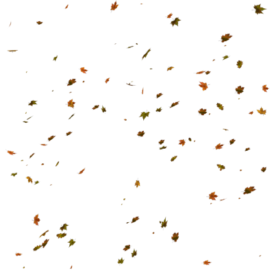 Autumn Leaves Vector PNG Images