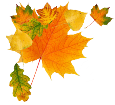 Autumn Png Transparent Image PNG Images