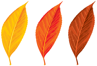 Download Free AUTUMN PNG transparent background and clipart