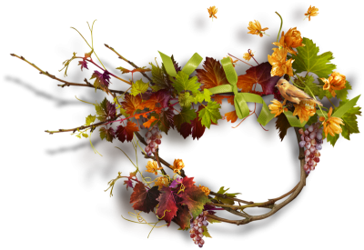 Autumn, Spring, Winter, Seasons, Leaf, Png PNG Images