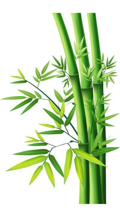 Green Bamboo Tree Clipart Image, Hard, Wood, Leaves Green PNG Images