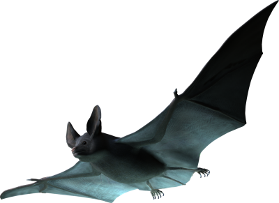 Green Small Bat Png Free PNG Images