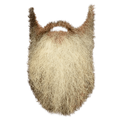 Beard Long Photos PNG Images