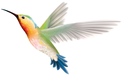 Colorful Humming Bird Art Painter Clipart, Drawings, Watercolor, Long Beak PNG Images