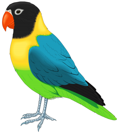 HD Clipart Painter Colorful Parrot Bird Png, Talkative, Art, Red Beak, Feather PNG Images