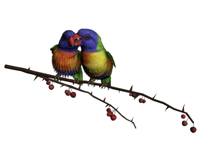 Couple Birds On Branch Art Png Image, Cute, Cage, Freedom PNG Images