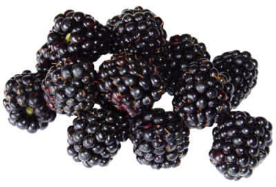 Blueberries, Blackberry Fruit Free Download Transparent PNG Images