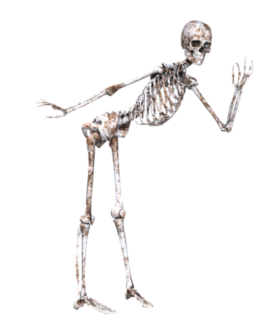 Bones Icon Clipart PNG Images