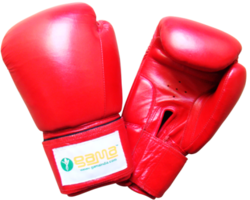 Download Boxing Gloves Png Pic PNG Images