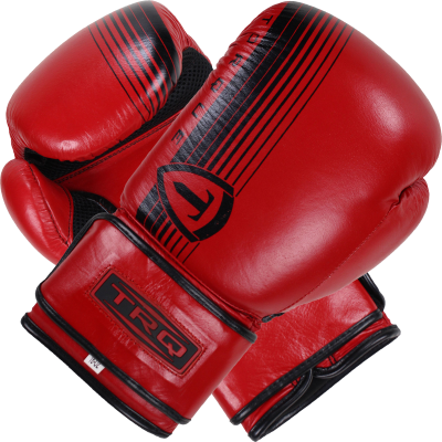 Twins Boxing Glove Download Png Image PNG Images