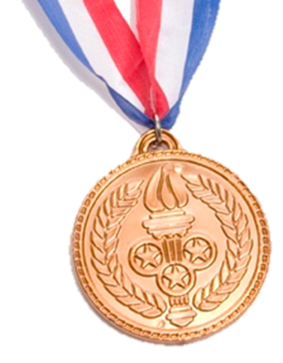 Ashrae Arkansas Bronze Medal Png PNG Images