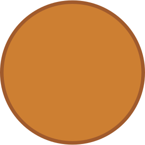 Bronze Medal Blank Png PNG Images