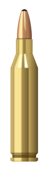 Gold Bullet Illustrator Vector Graphics PNG Images