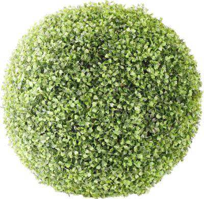 Green Circle Bush Png Clipart PNG Images