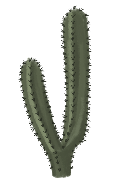 Cactus HD Photo Png 14 PNG Images