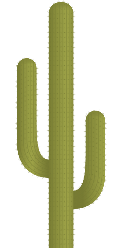 Cactus Clipart HD PNG Images
