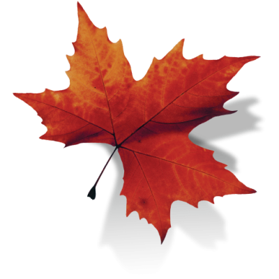 canada leaf logo png