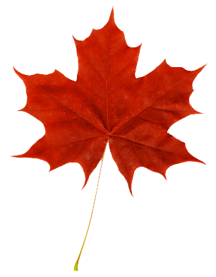 canada leaf logo png