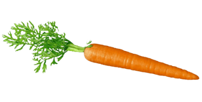 Fresh carrot icon picture background image png
