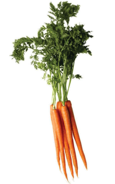Thin carrot image download png
