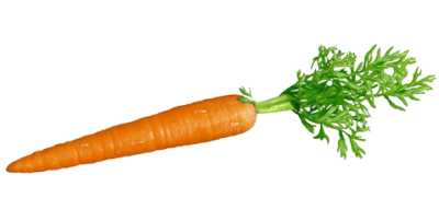 Carrot Quality Clipart Photos PNG Images