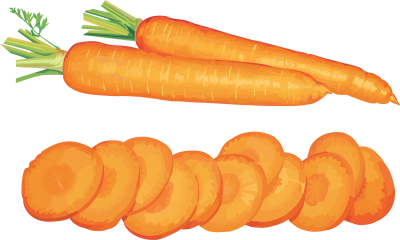 Ediple carrot simple best clipart 19575 clipartion png