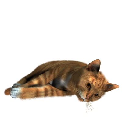 Cat Clipart PNG Photos PNG Images