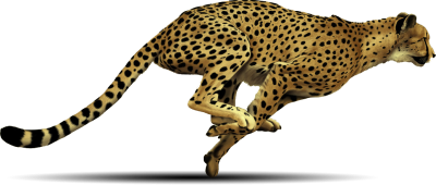 Cheetah running png images